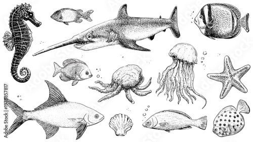 Various Marine Fish Illustrations in Blue Color with Detailed Patterns on White Background