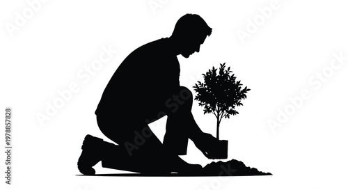 A man kneels to plant a small tree carefully tending to the earth in a striking silhouette high quality professional detailed