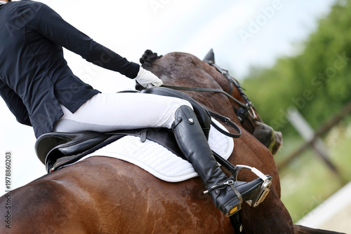 Close-up of a dressage horse under saddle at a summer competition. Beautiful quality leather saddle