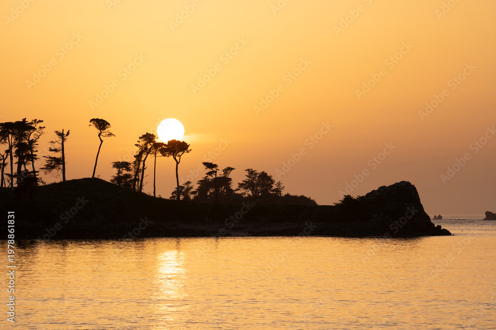 Obraz premium Le coucher de soleil et ses arbres