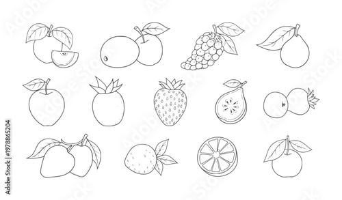 Collection of hand drawn fruit including apples pears grapes strawberries and oranges
