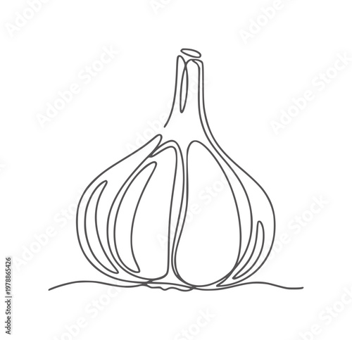Single continuous line of a garlic bulb with cloves food ingredient