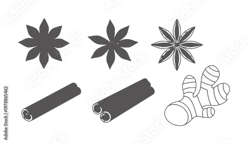 Star anise cinnamon sticks and ginger root