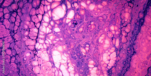 A Seamless Design of Light, Texture, and Water Patterns