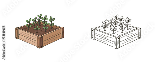 Illustrations of a wooden garden raised bed in flat brown and green colors and a black line art style with young green sprouts used for growing vegetables and organic gardening