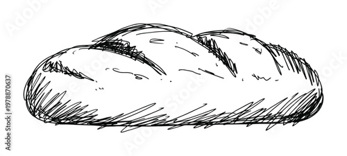 Vector of a freshly baked loaf of bread with diagonal cuts