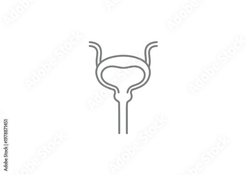This image features a vector of a uterus with fallopian tubes
