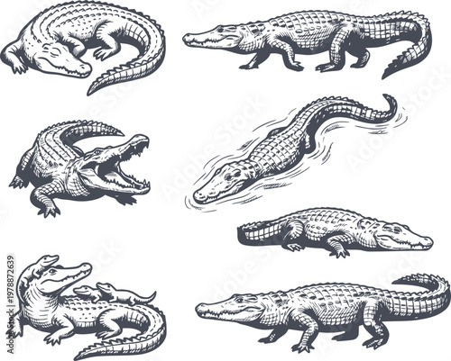 detailed crocodile and alligator set in black fill hand drawn style with no white fills including swimming and roaring actions