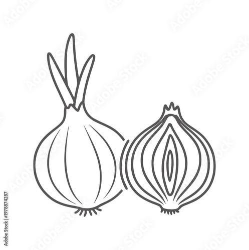Simple line of two onions one whole and one halved food vegetable ingredient cooking