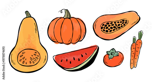 Clip art collection of various vegetables isolated on a white background. Pumpkins, slice of watermelon, persimmon, papaya, carrots. Vector sketch line illustration with watercolor stains.