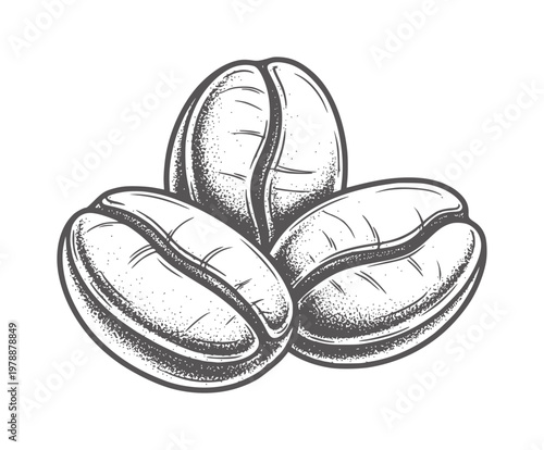 Three dark roasted coffee beans with texture and shading brown