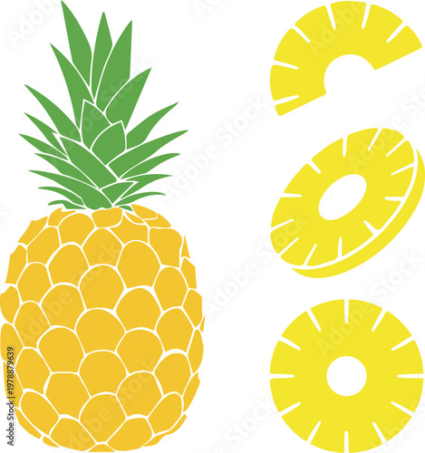 Vector illustration of a set of fresh tropical pineapples with whole fruit, slices, and chunks - Ripe and sweet pineapple
