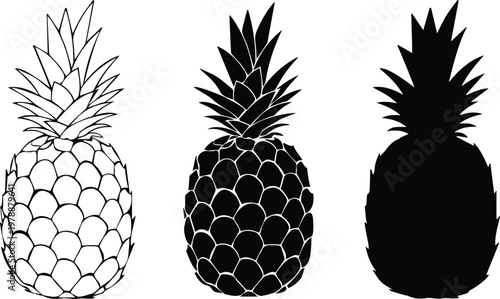 Vector set of pineapple silhouettes and line drawings, isolated on a white background for logo and pattern design