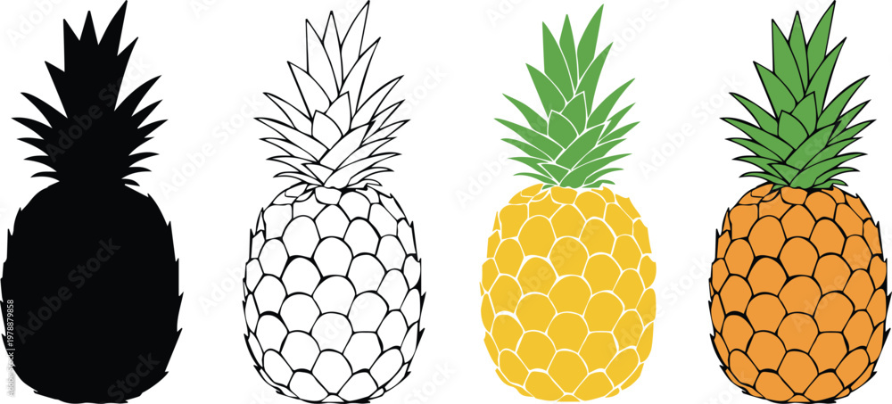 Fototapeta premium Vector collection of four pineapples, a symbol of tropical food - Silhouette, outline, flat color and detailed illustration