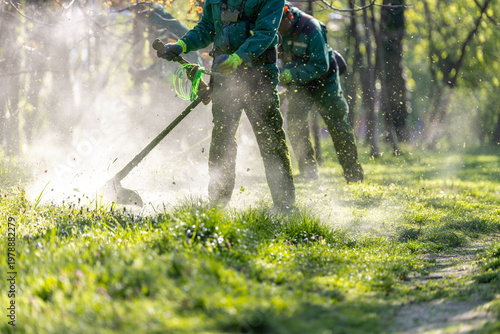 Fotografía Park maintenance crew cutting grass with brush cutters in sunlight