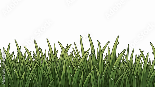 Green grass with water drops vector illustration. Fresh lawn with dew drops, natural background for spring and summer themes. Simple vector graphic for nature concepts.