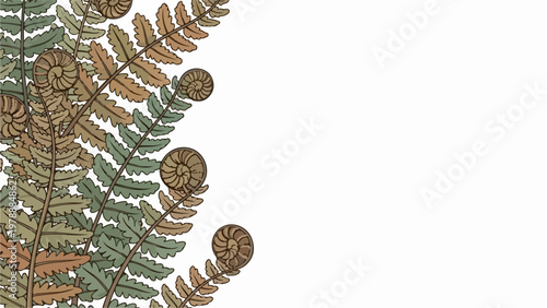 Vector illustration of unfurling fern fronds in earthy tones, organic botanical pattern for nature themes. for branding, packaging, banner, poster, website header, and social media design use