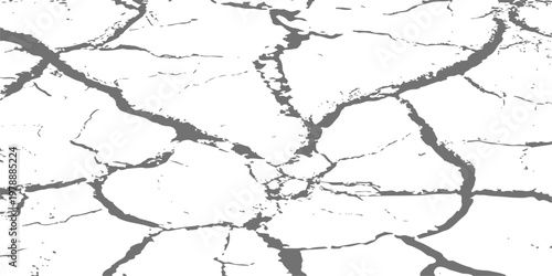 abstract black and white distressed texture of cracked earth and peeling paint for grunge background designs