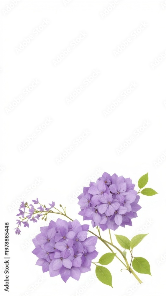 Fototapeta premium Purple lavender flowers in a simple arrangement, with a hint of green leaves. Ideal as a colorful decoration or centerpiece for special events.