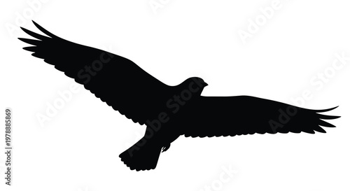A black silhouette of a bird in flight wings fully extended silhouette