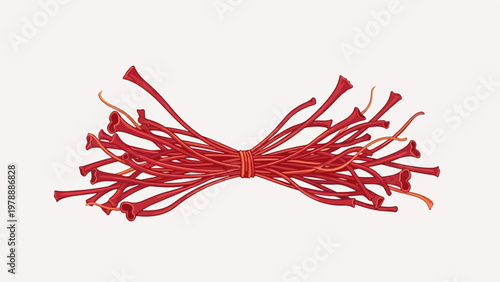 Saffron threads vector illustration, a precious spice bundle tied with string, culinary ingredient for gourmet dishes and traditional recipes.