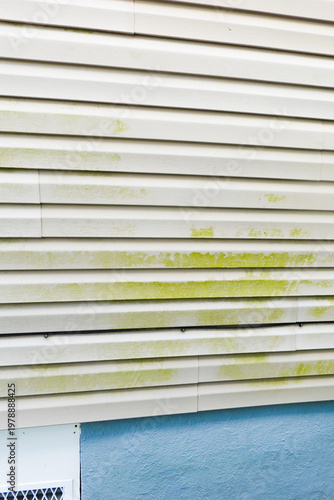 Green organic algae debris on the siding of a house