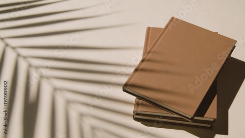 Stack of brown books casting shadows with palm leaf overlay for summer reading
