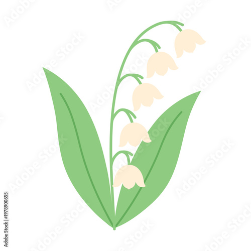 Cute lily of the valley flower illustration in flat style. Delicate spring plant with white bells and green leaves. Simple botanical vector icon isolated on background. Hand drawn.
