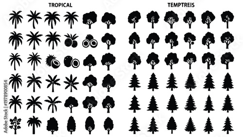 Black silhouettes of various tropical and temperate trees and fruits including palm trees pine trees coconut