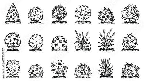 Various black and white illustrations of different shrubs and grasses for landscaping and gardening projects