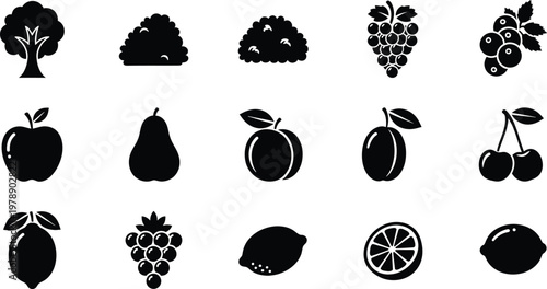Collection of fifteen minimalist black fruit and garden plant icons on a white background