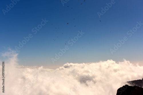 Aktuelle Situation des Klimawandels in Europa