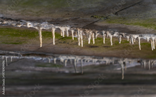 Принти на полотні close-up of anthropogenic stalactites forming on a concrete ceiling