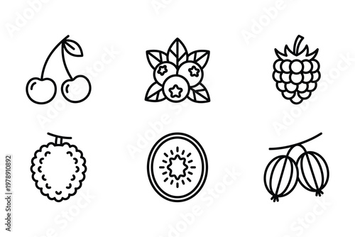 Variety of six outline fruit icons with blueberry raspberry gooseberry vitamins illustration botanical nutrition sweetness vegetarian agriculture