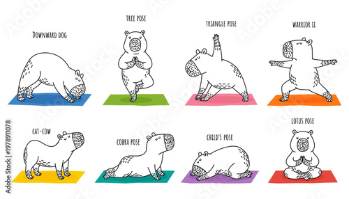 Cute capybara yoga poses set. Vector hand drawn illustration of funny animals doing exercises on colorful mats. Zen and wellness art