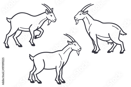 A minimalist line art illustration of three goats in different poses