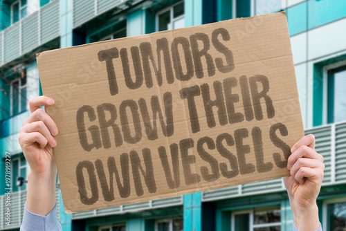 Photos "Tumors Grow Their Own Vessels" Cancer cells hijack the body's vascular growth system to build a private blood supply network feeding the tumor
