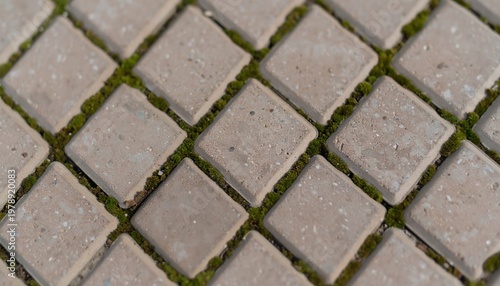 Close-up of Square Paving Stones with Green Moss Between.