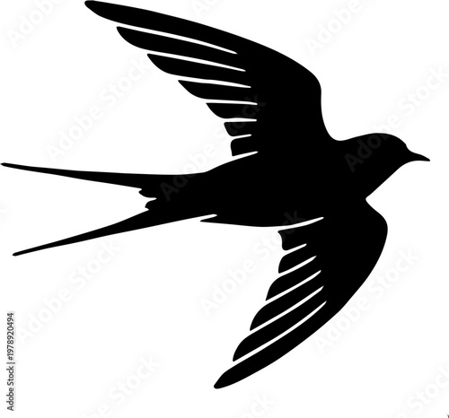 vector illustration of a flying bird