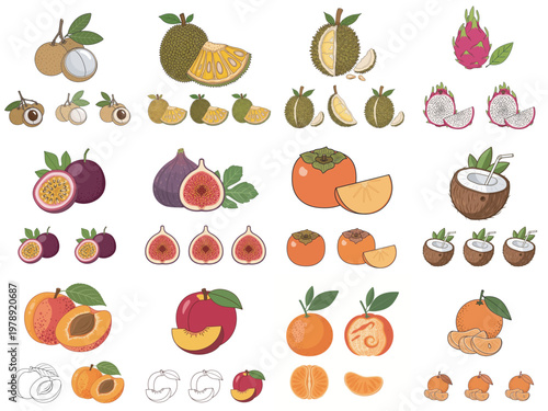 assortment of fresh tropical and temperate fruits flat lay composition
