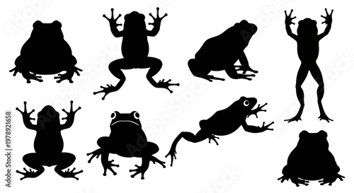 Frog silhouettes, amphibian icons, black frogs, animal graphics, wildlife illustrations