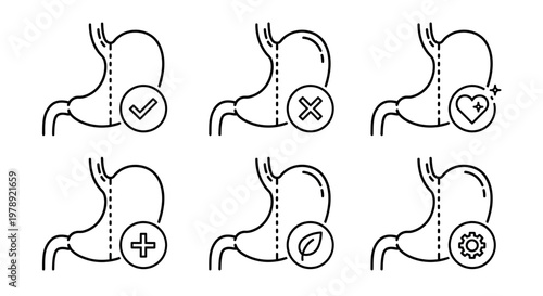 Stomach anatomy, digestive system icons, medical symbols, health illustrations, 6 icons set