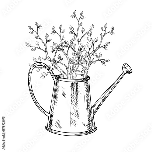 Vector garden watering can and spring branch with leaves. Graphic hand drawn pitcher illustration isolated on background. Botanical and clip art. For greeting card, wallpaper, wrapping paper design