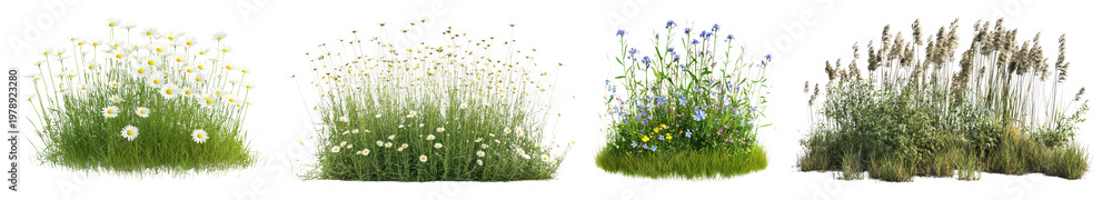 Naklejka premium PNG Lush wildflowers in natural clusters, transparent background