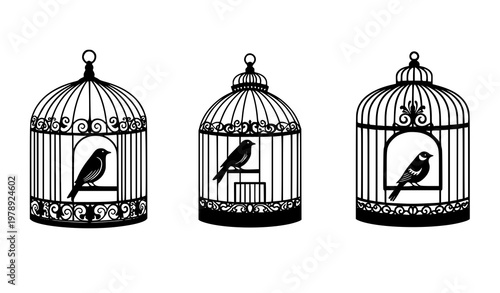 Decorative Vintage Bird Cages with Birds Silhouette Vector Collection in Ornamental Style on White