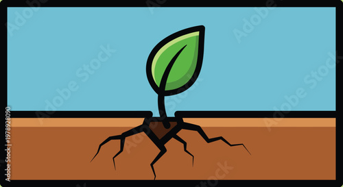 Small green plant with roots growing.