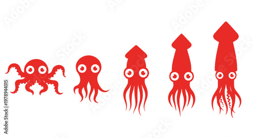 A progression of marine cephalopods, from octopus to squid, shown in red.