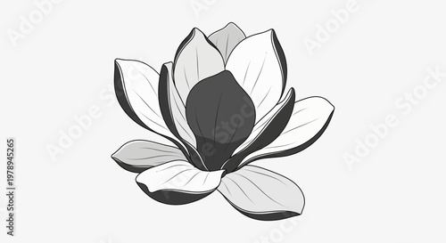 Elegant Magnolia Flower Illustration in Monochrome Tones.