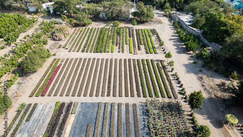 vivero