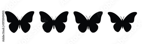 butterfly silhouette simple icon set, black color and white background